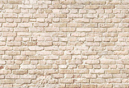 Fototapeta Béžová panoráma starej tehlovej steny 207802412